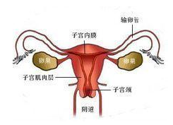 运城子宫内膜薄能怀孕吗