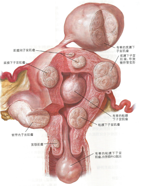 运城现代妇科医院